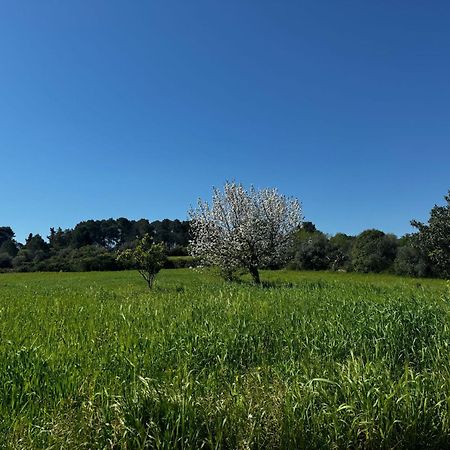 마르티나프란카 Trulli Del Sole 빌라 외부 사진