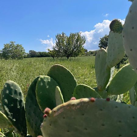 마르티나프란카 Trulli Del Sole 빌라 외부 사진