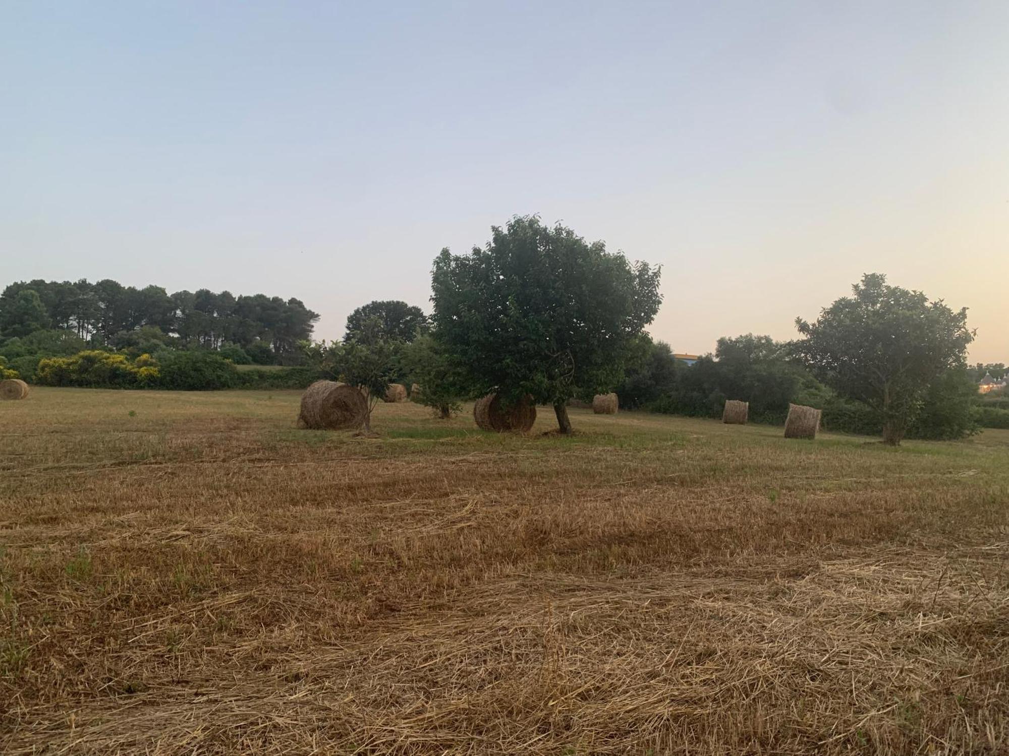 마르티나프란카 Trulli Del Sole 빌라 외부 사진