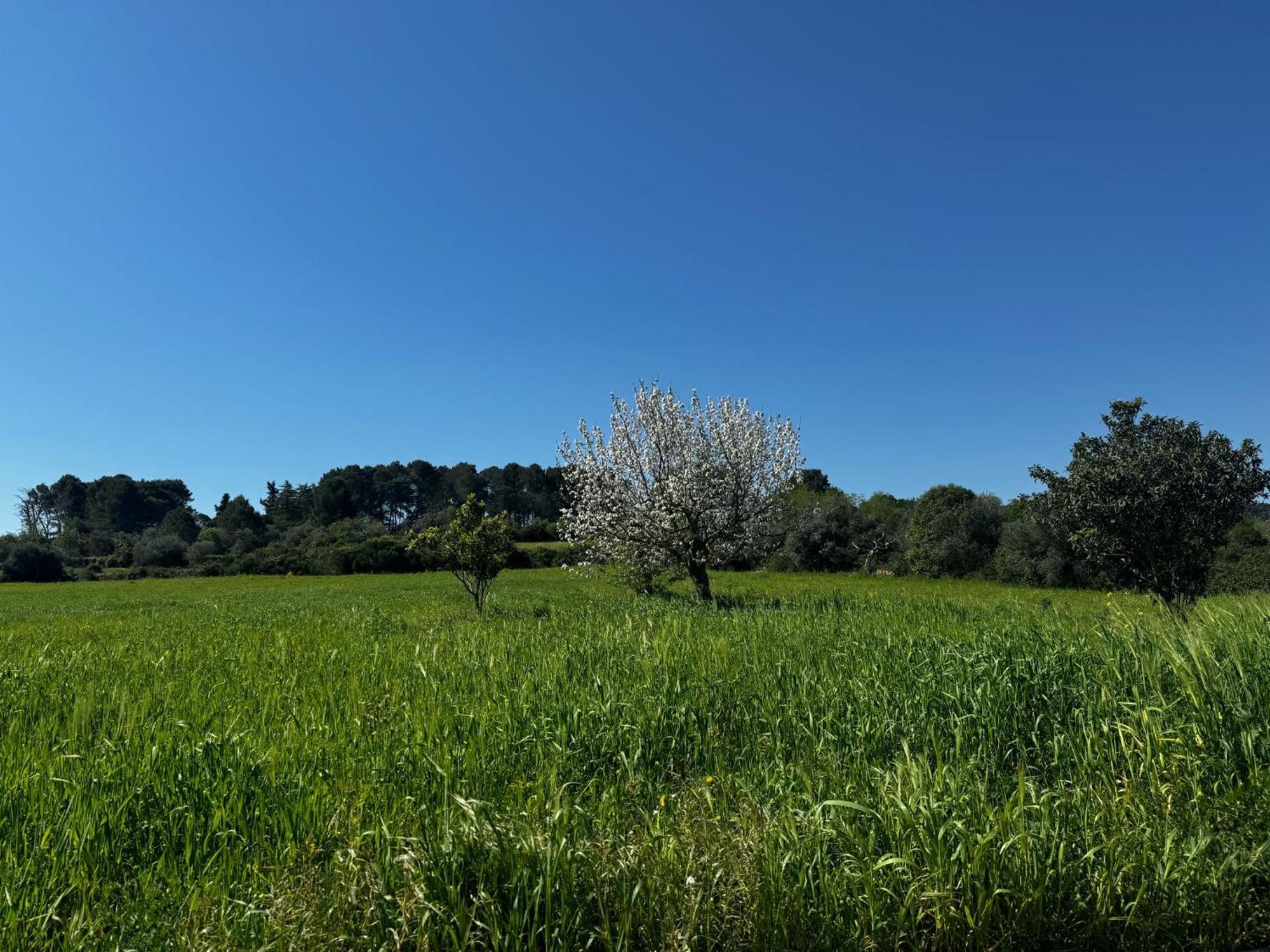 마르티나프란카 Trulli Del Sole 빌라 외부 사진